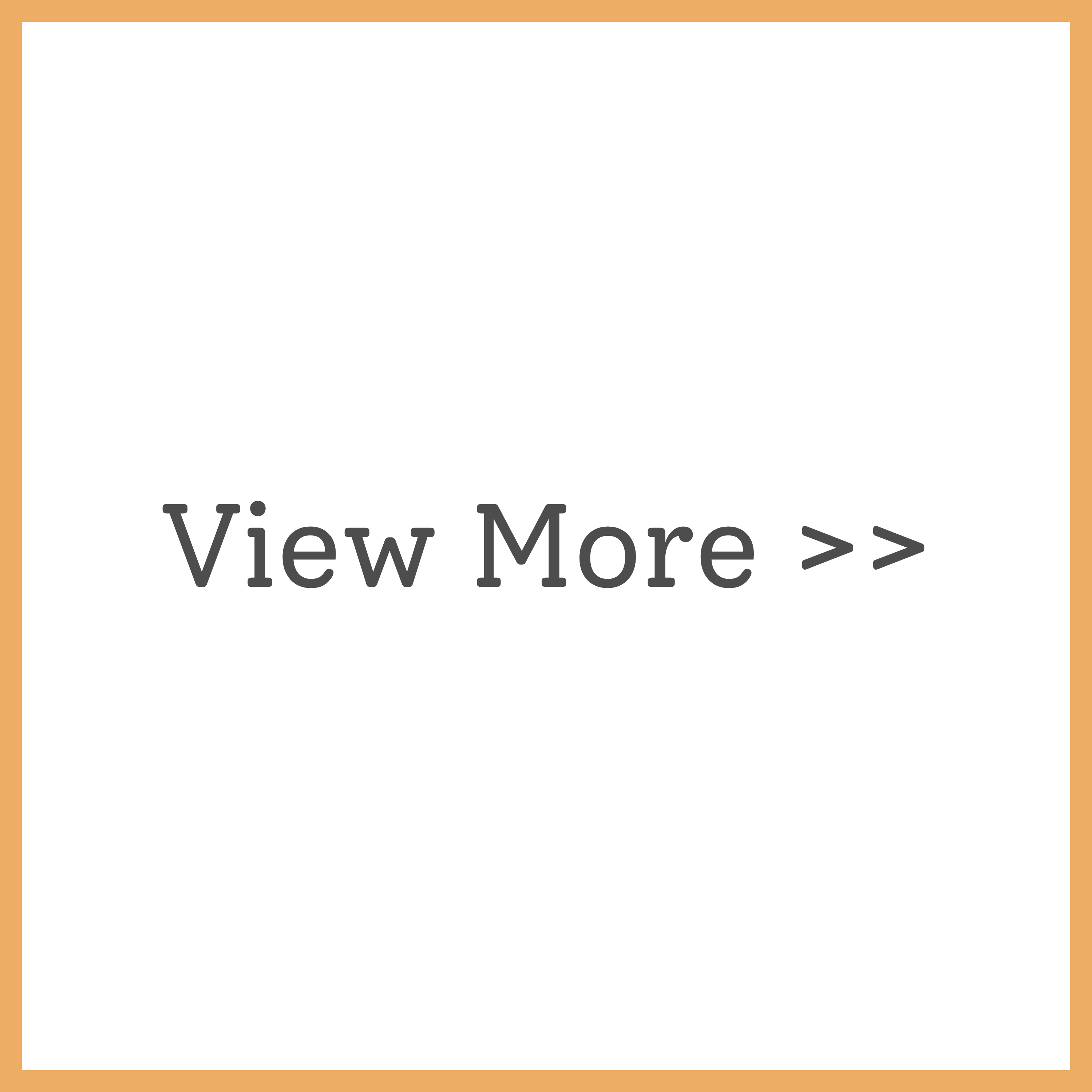View More Workshops